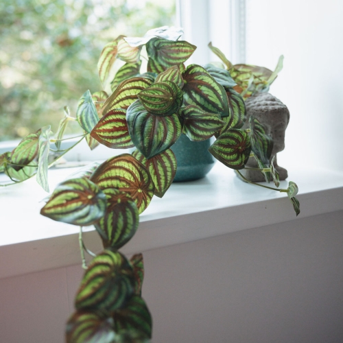 Stress-terapeut i Aarhus, der tilbyder professionel hjælp til stress og støtte til at genvinde ro og balance i hverdagen